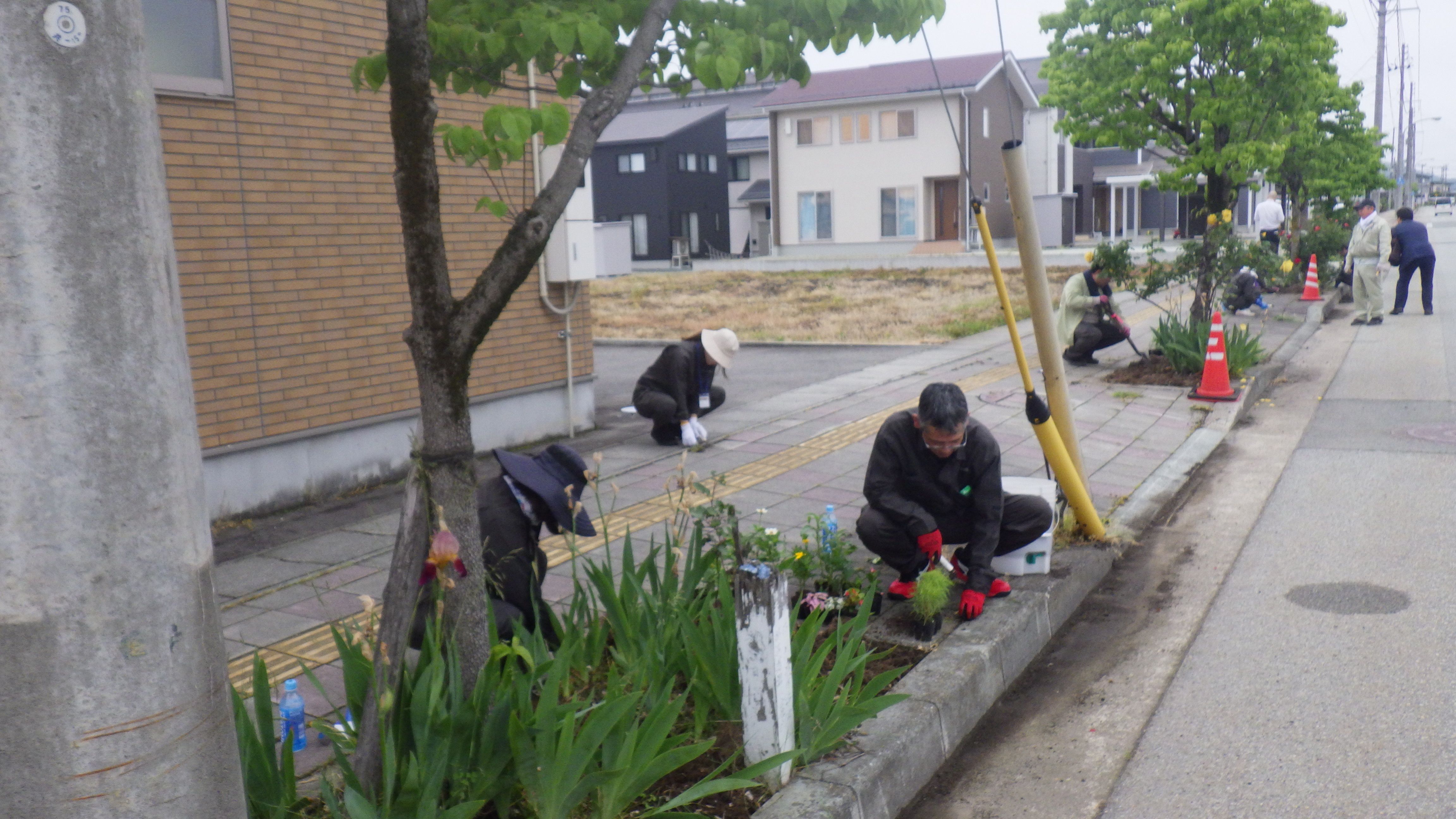 道路沿いで植栽活動を行う社員一同の様子