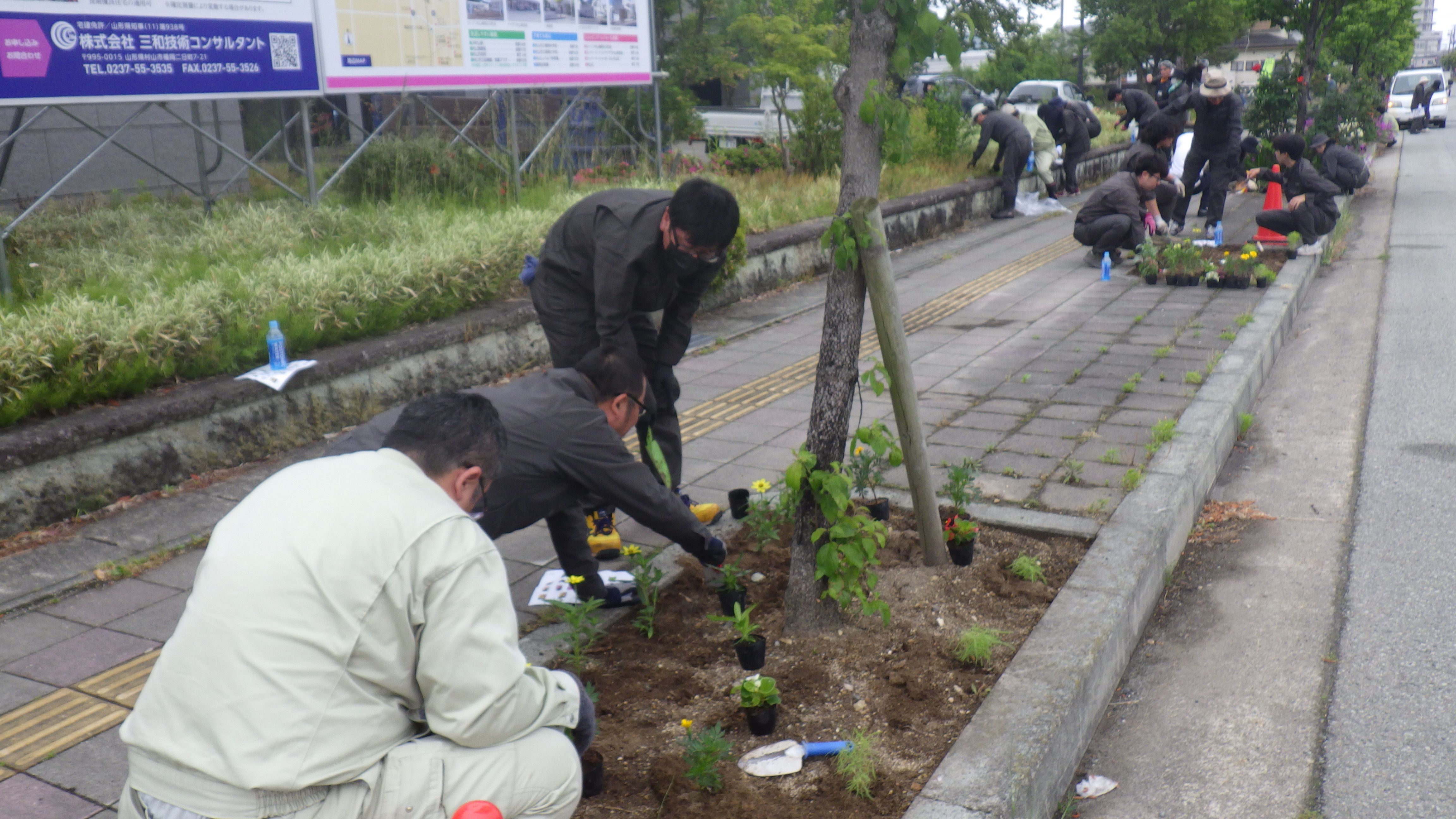 弊社前の道路の植栽帯で花苗を植える社員の様子