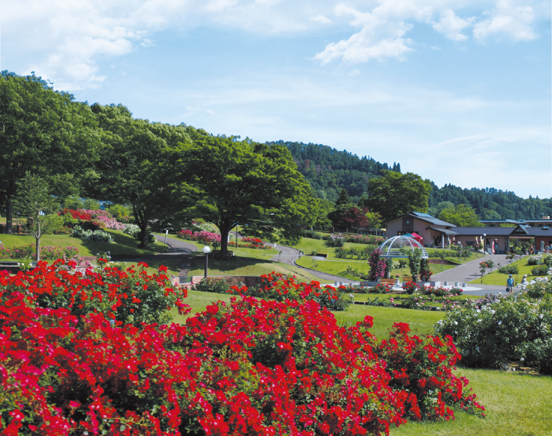 バラ公園
